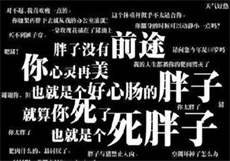 全国探花用的是哪个
